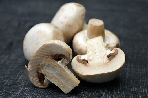 best mushroom brands
